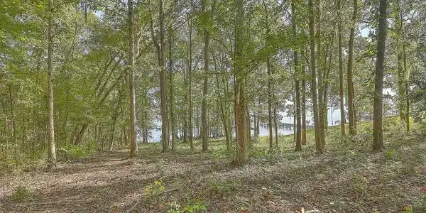7 Hazzard Court, Elloree SC 29047