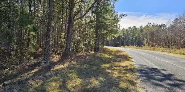 Tbd William Brunson Road, Summerton SC 29148