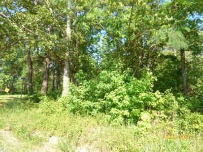 Big Woods Road