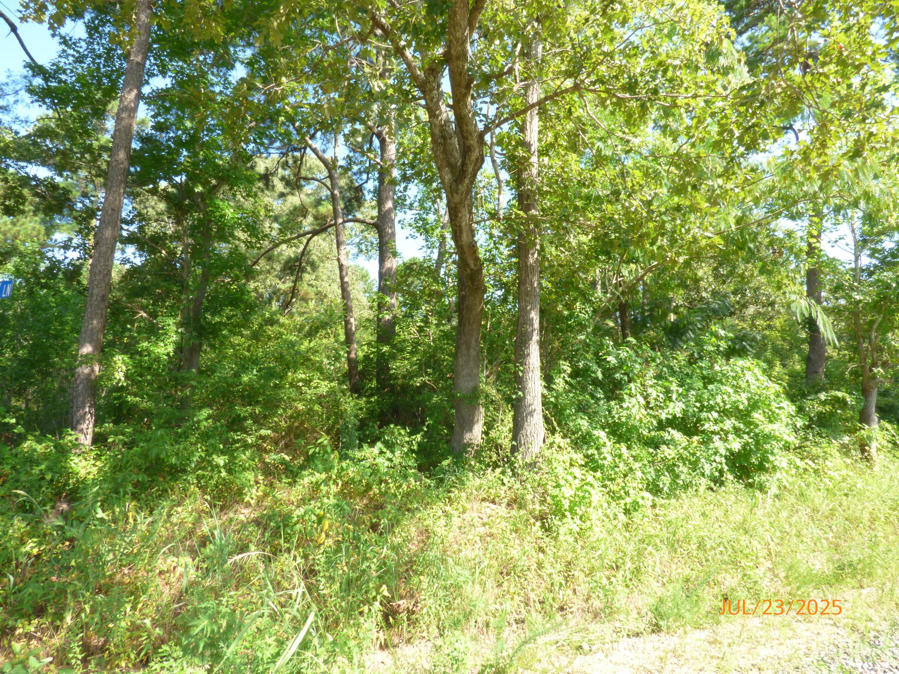 Image 2: Wood Lot