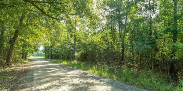 699 Murphy Bay Drive, Cross SC 29436