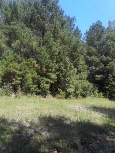Hazel Lane, Cross SC 29436