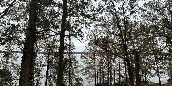 1 Rosewood Lane # 1b, Elloree SC 29047