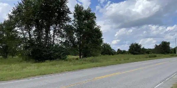 Tee Vee Rd, Elloree SC 29047
