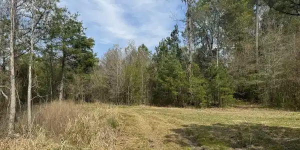Getaway Lane