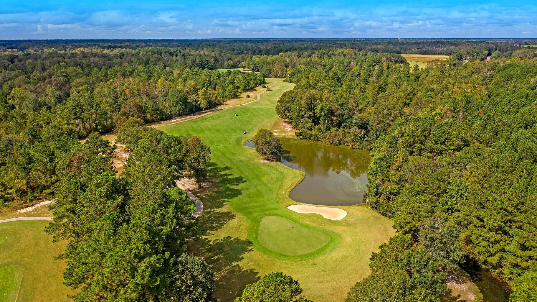Image 4: Wyboo Hole 7 Fairway aerial