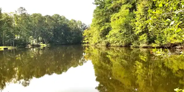 #7 Row Boat Lane, Elloree SC 29047