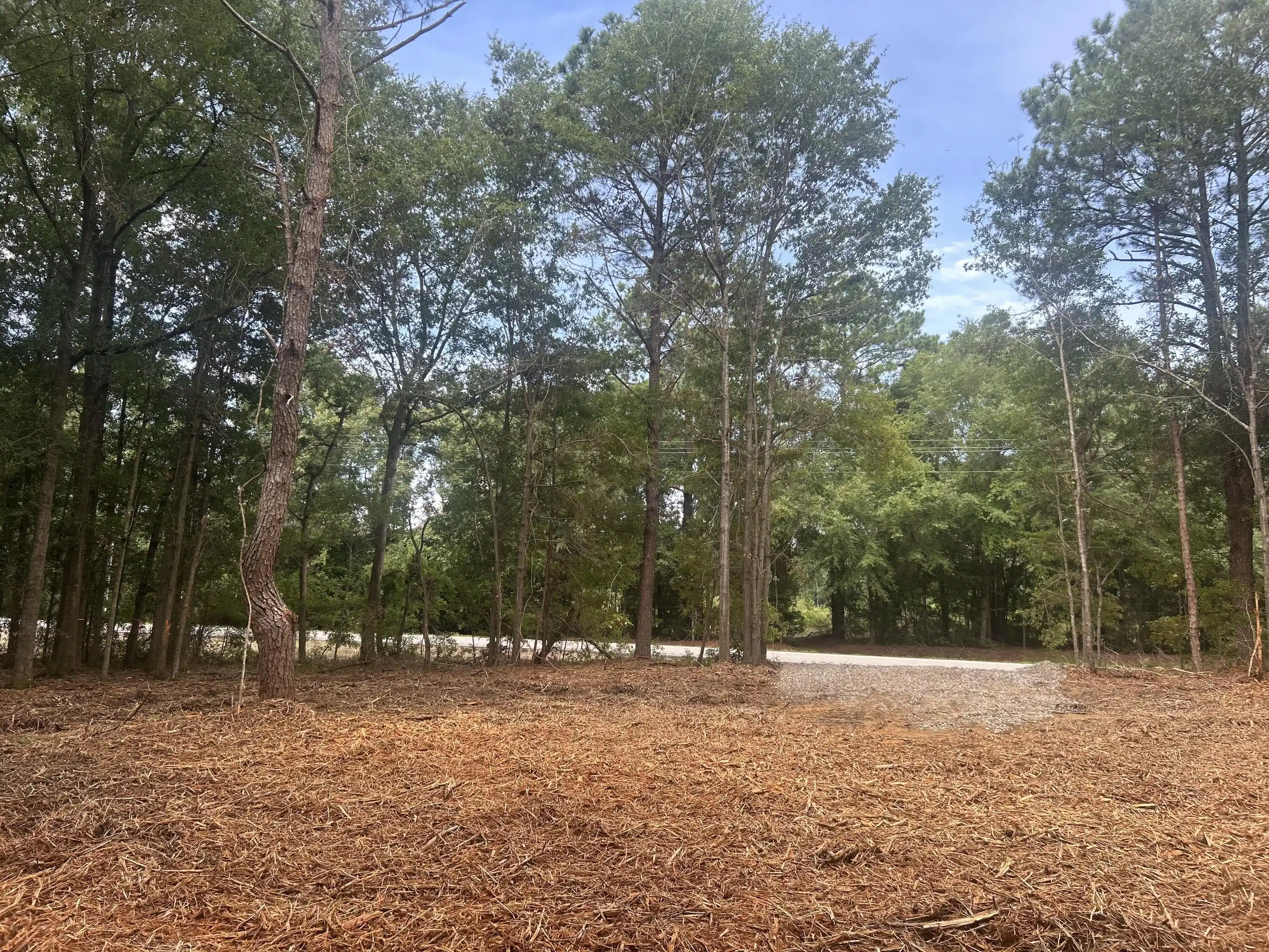 Image 1: IMG_2018
