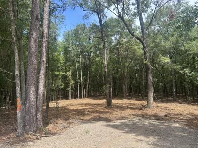 8 Francis Marion Blvd