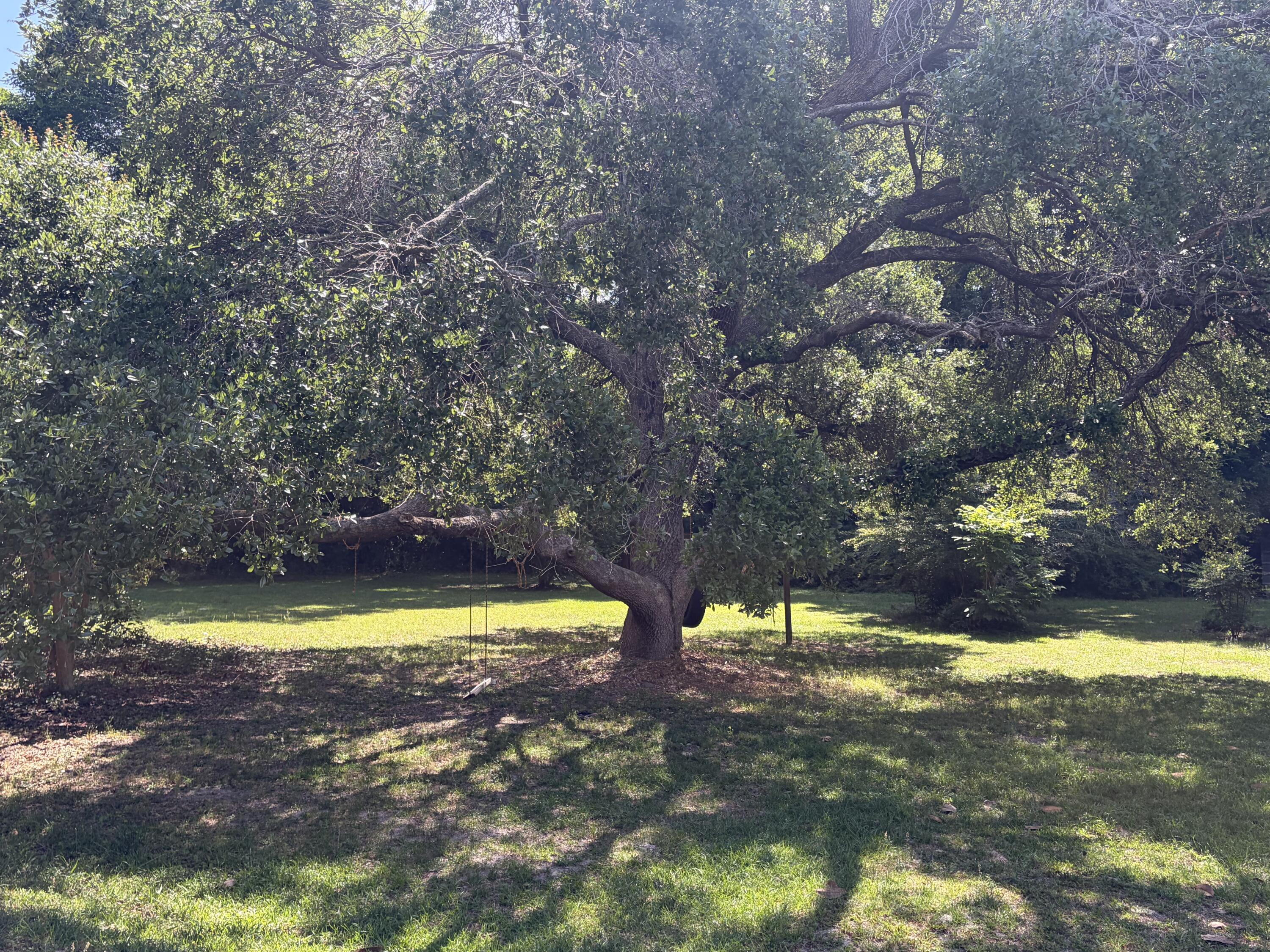 Image 3: IMG_0364