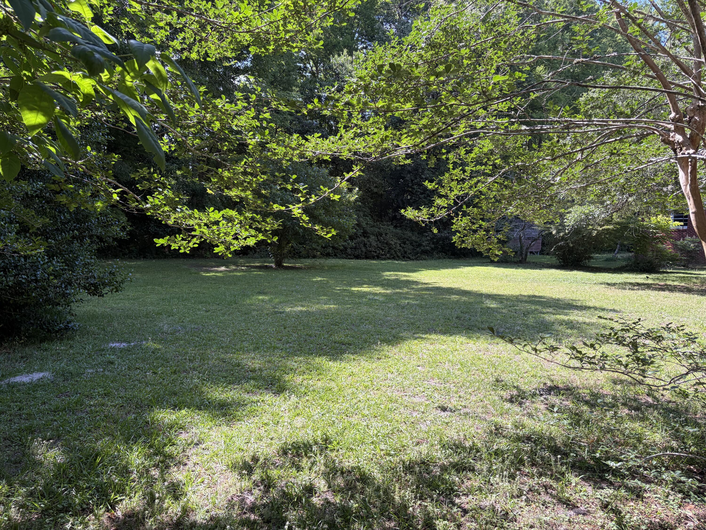 Image 4: IMG_0361