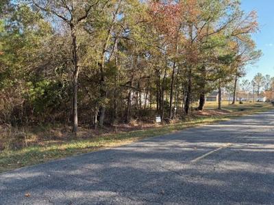 Wilson Landing Road