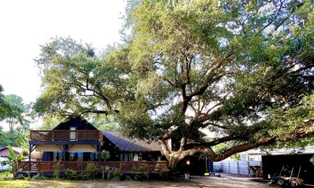 705 Hildebrand Drive