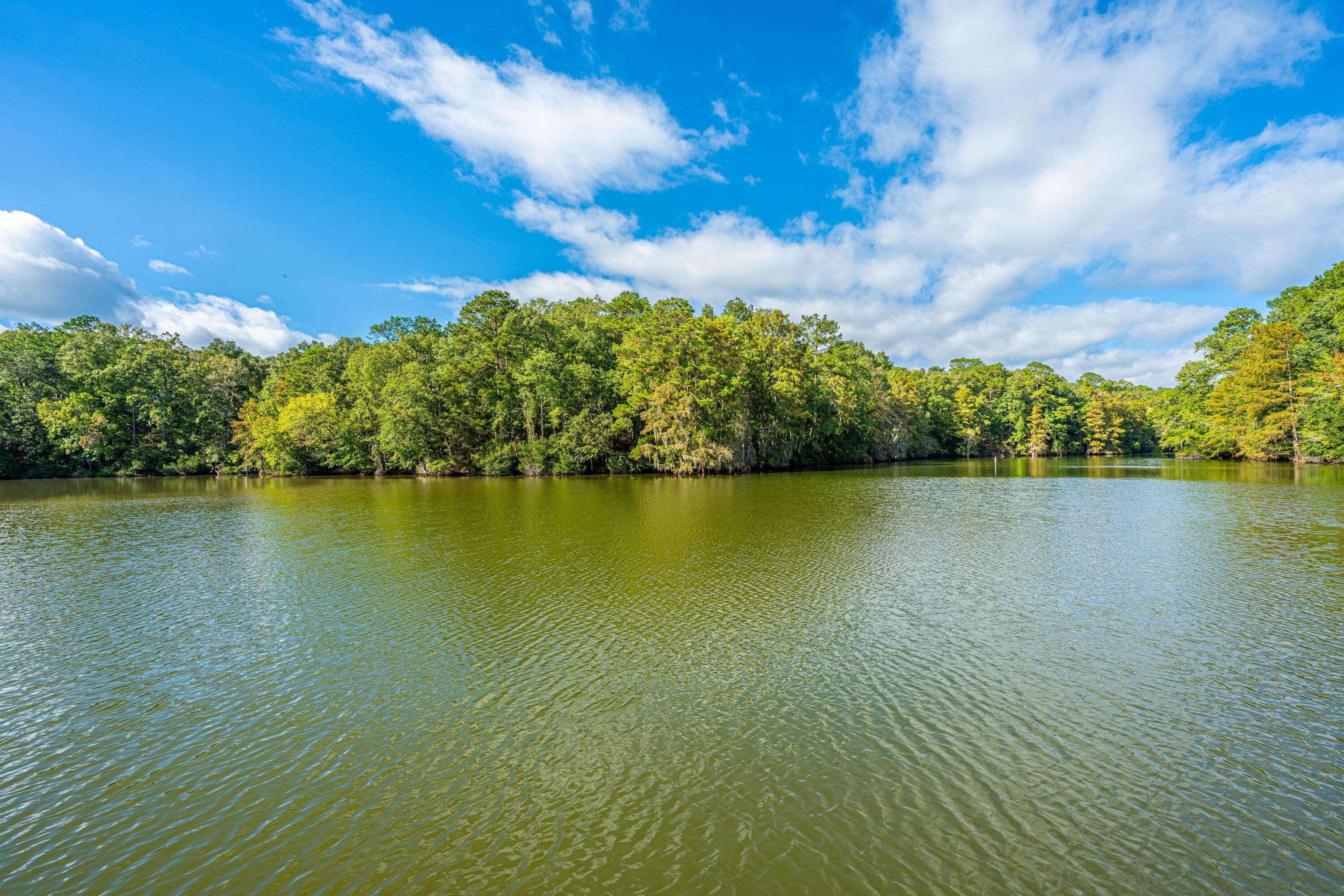 Image 4: Expansive Views of Santee State Park