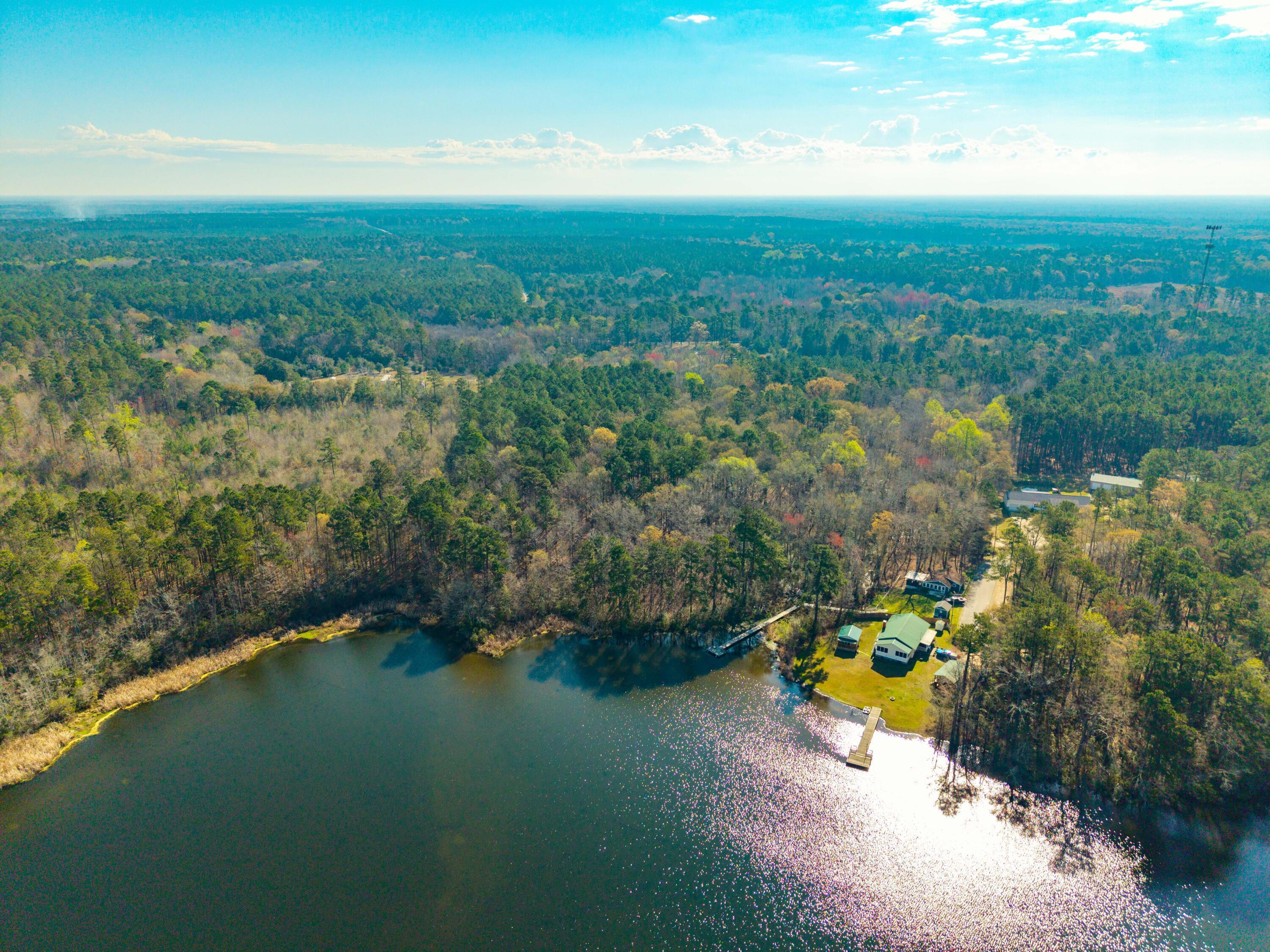 Image 3: DJI_20260310104646_0113_D