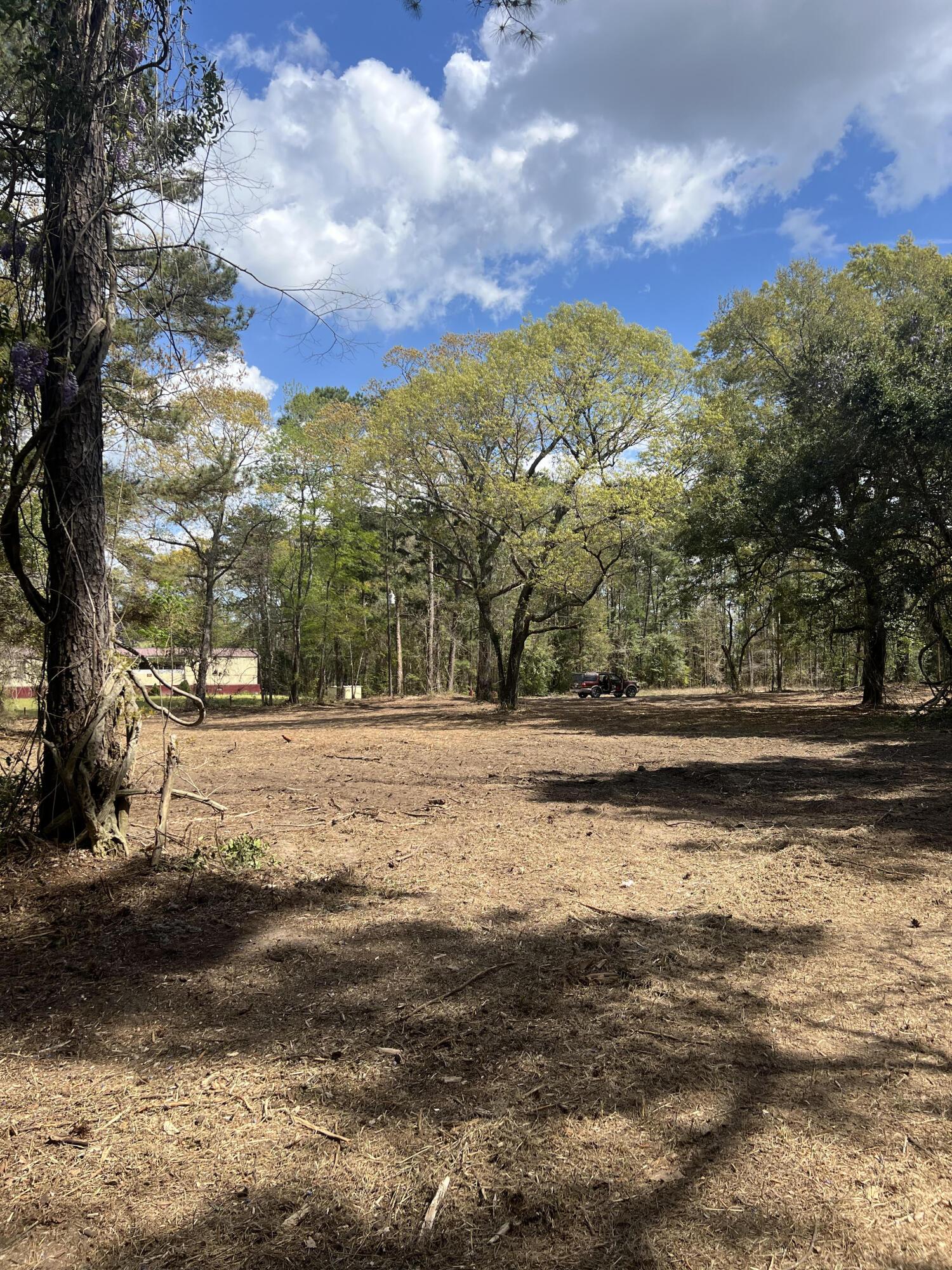 Image 4: 111 Roberta land