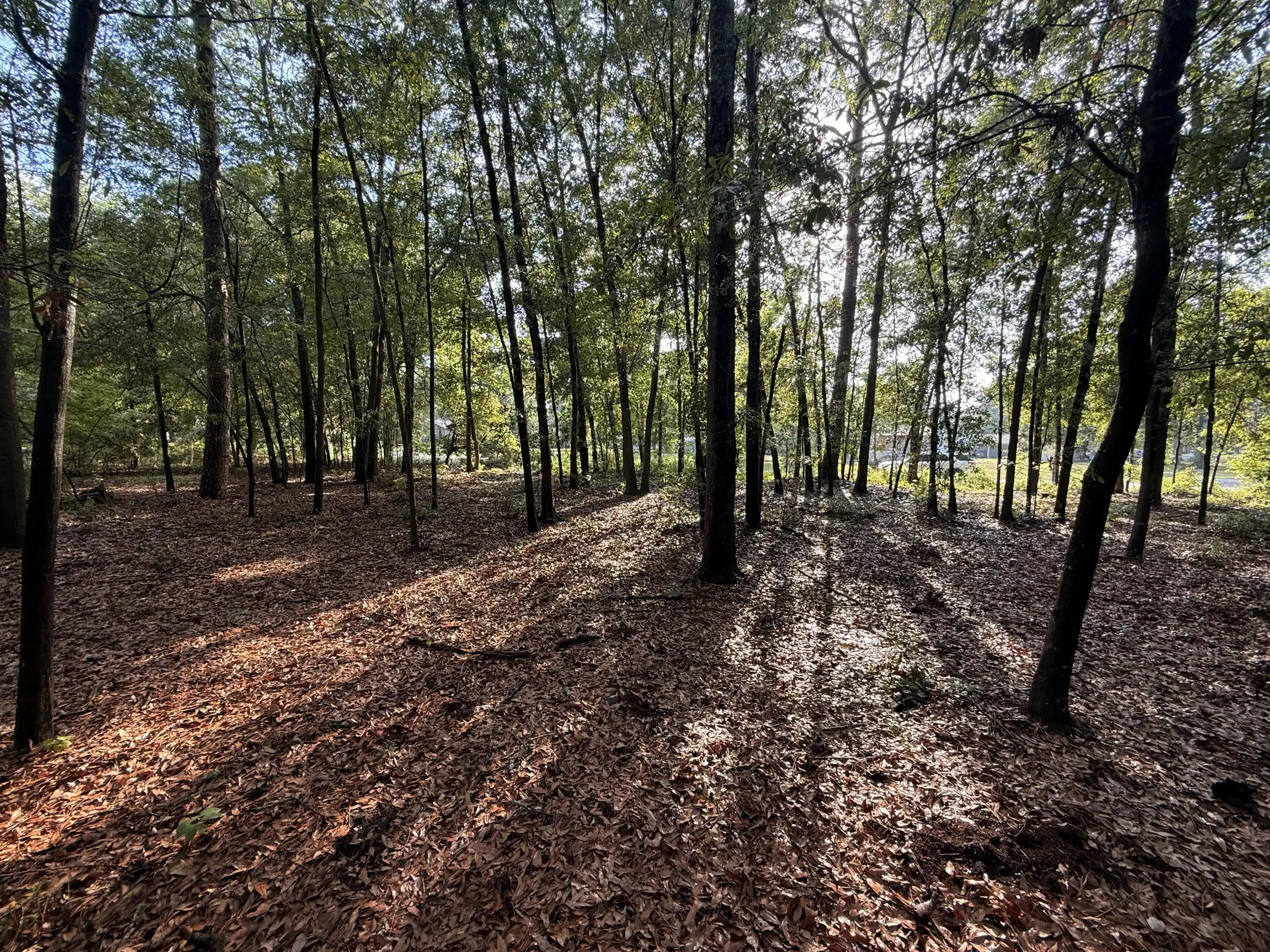 Image 1: 100 Triangle Drive