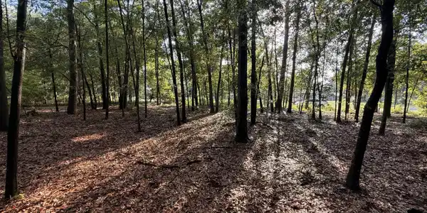 100 Triangle Drive
