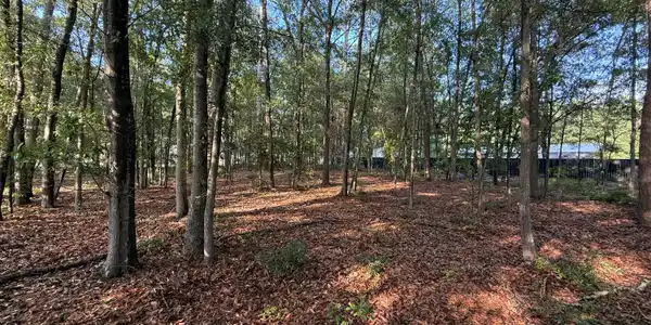 Image 4: 100 Triangle Drive