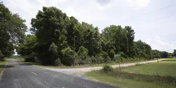 Image 2: JL&D Road-06