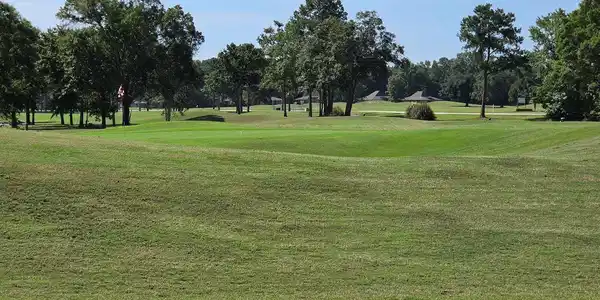 Image 3: Back Porch view of #2 green