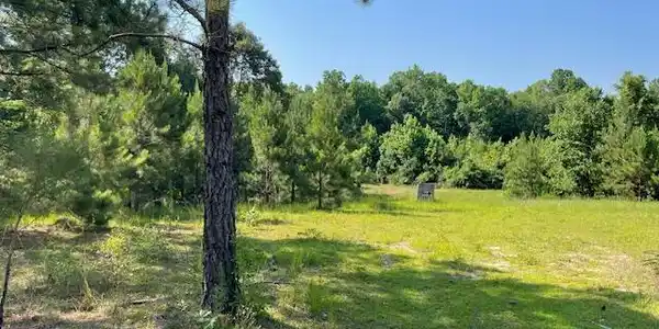 Old River Road