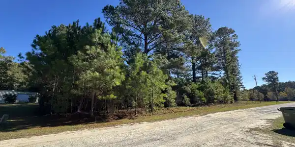 Winding Pond Road