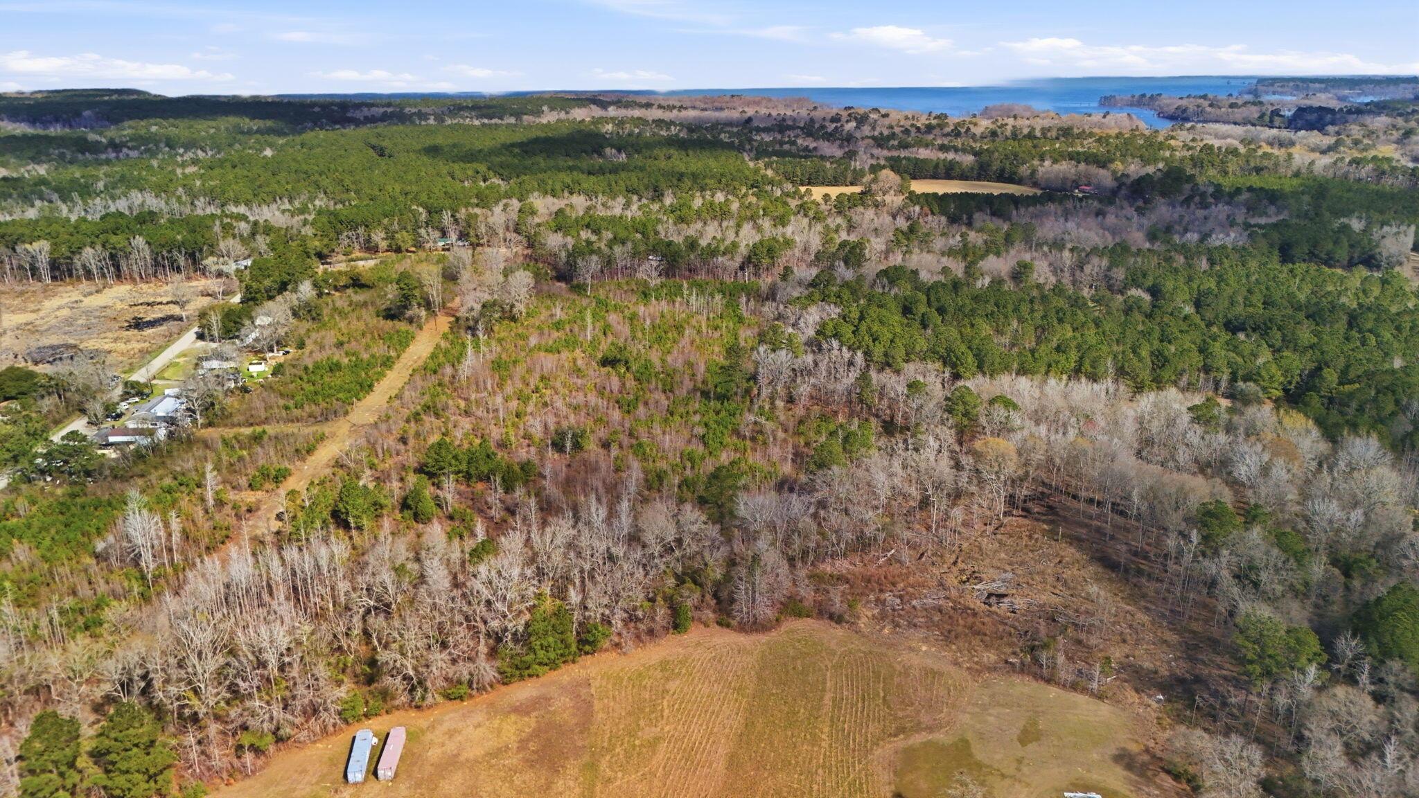 Image 3: 3-web-or-mls-002_DJI_20260306110020_0005