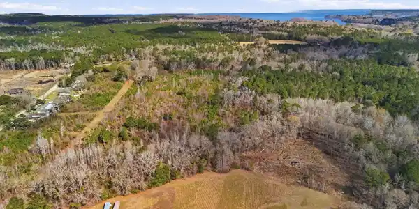 Image 3: 3-web-or-mls-002_DJI_20260306110020_0005