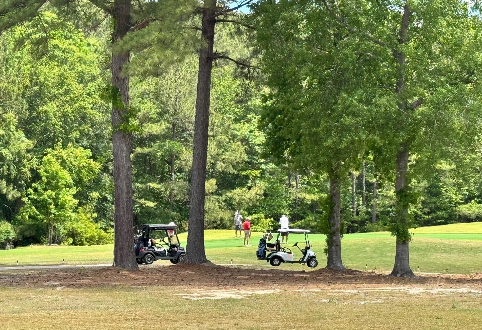 Image 3: golfers playing