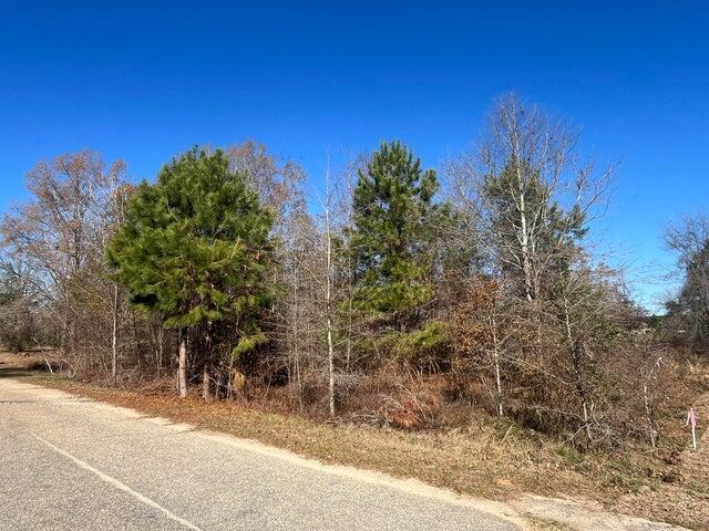 Image 2: 20250103001607579810000000-o