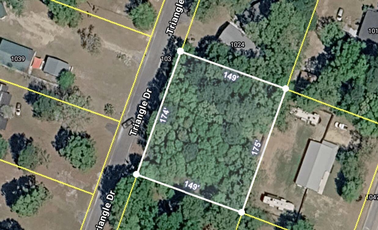Image 3: 100 Traingle Drive, Summerton SC