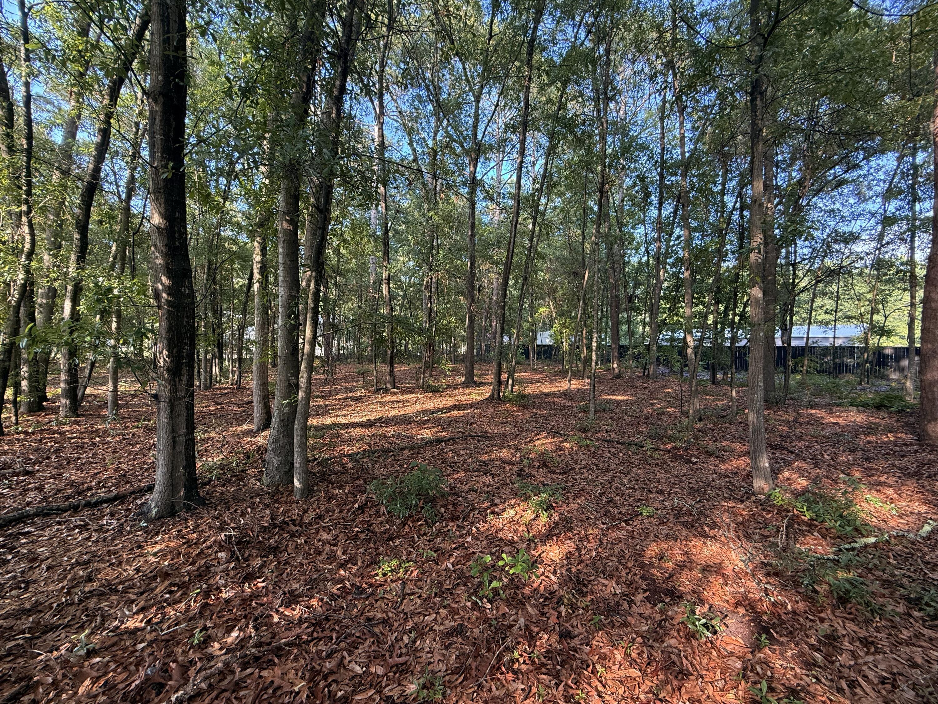 Image 4: 100 Triangle Drive
