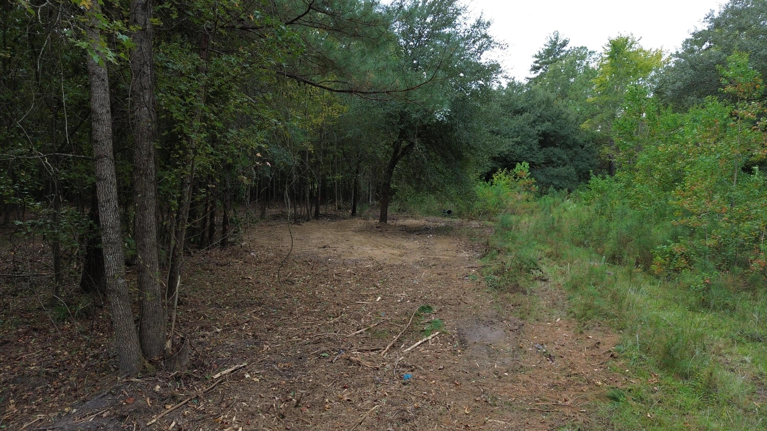 Image 2: DJI_0888
