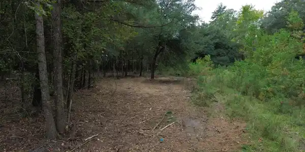 Image 2: DJI_0888