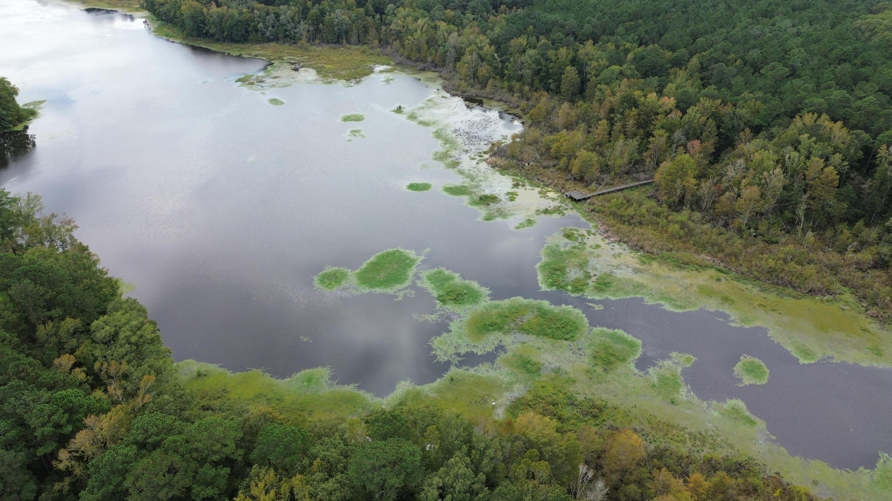 Image 3: DJI_0896