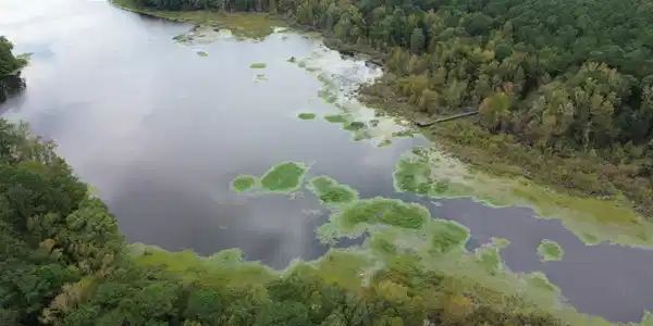 Image 3: DJI_0896