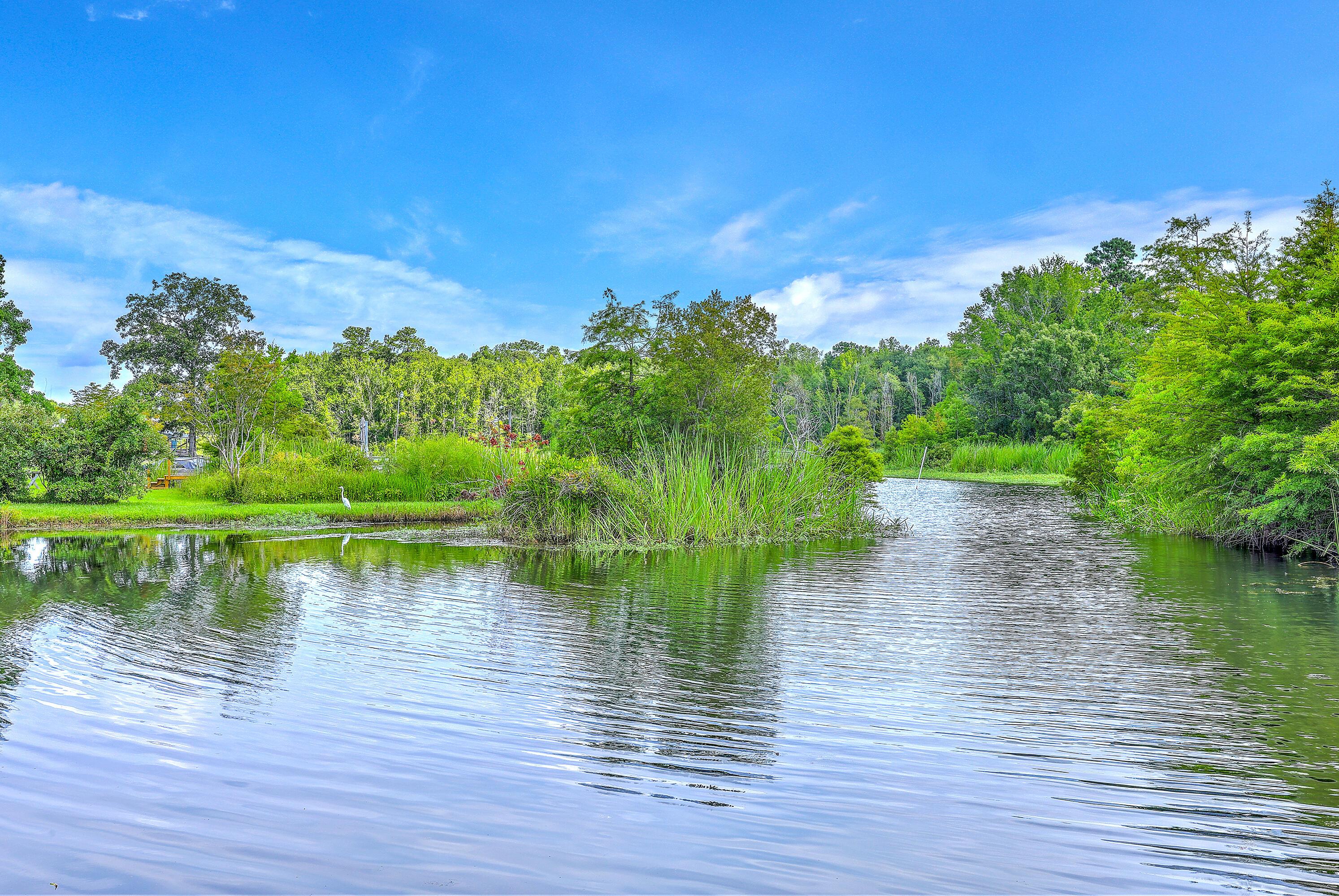 Image 4: Water View from the Dock