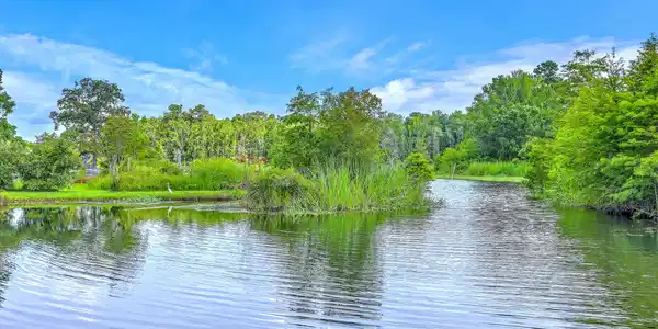 Image 4: Water View from the Dock