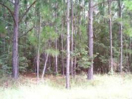 110 Albacore Road