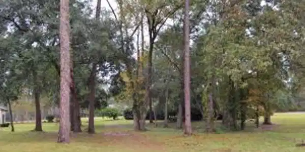 00 Santee Cooper Annex