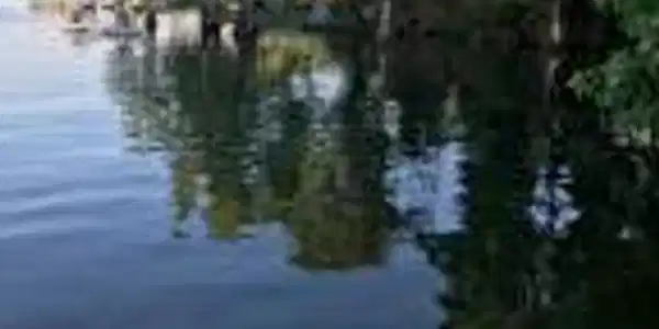 Lot 9 Pintail Lane