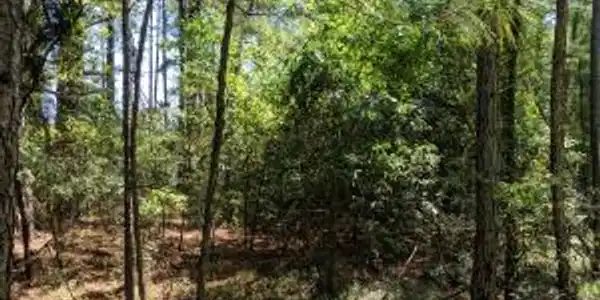 6040 Dove Point