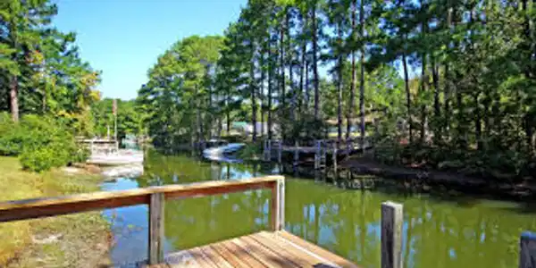 1137 Dove Lane