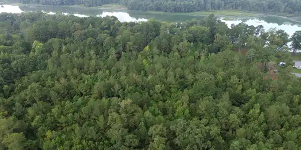 Image 2: DJI_0078