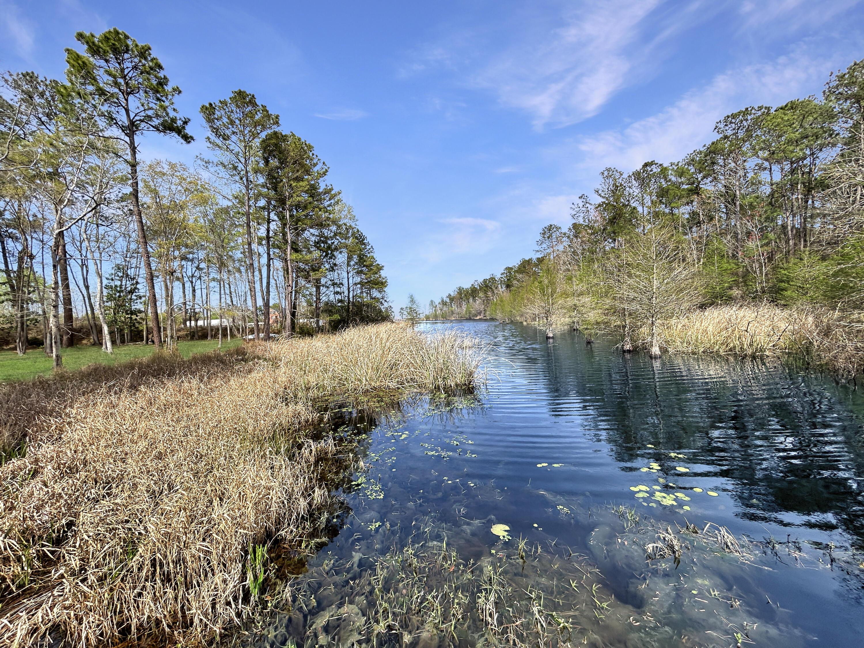 Image 2: 6e3c951cbf3f80ef66fbc3854816c716d7084609