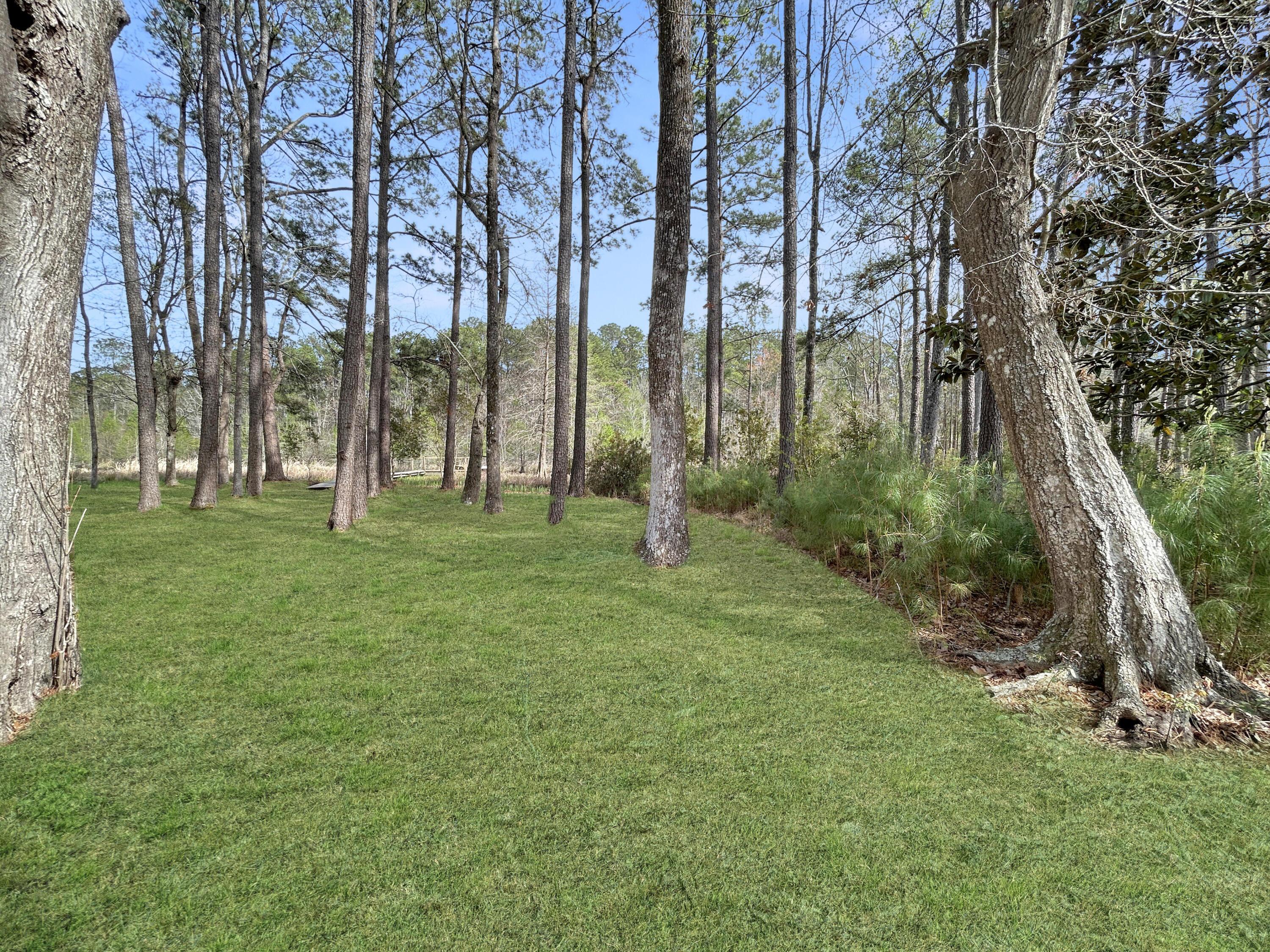 Image 4: a4c0bf3fa98a87102c5873376eaf17ff130eec74