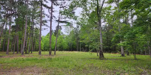Lot B Hickory Nut Way