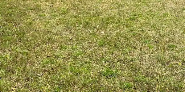 Image 4: 20210316021009901698000000-o