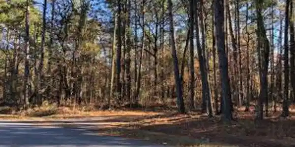 219 Round O Road